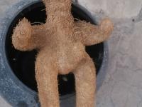 肾免欰?揮賖?(肾脏萎是不是不能用了)-开云娱乐