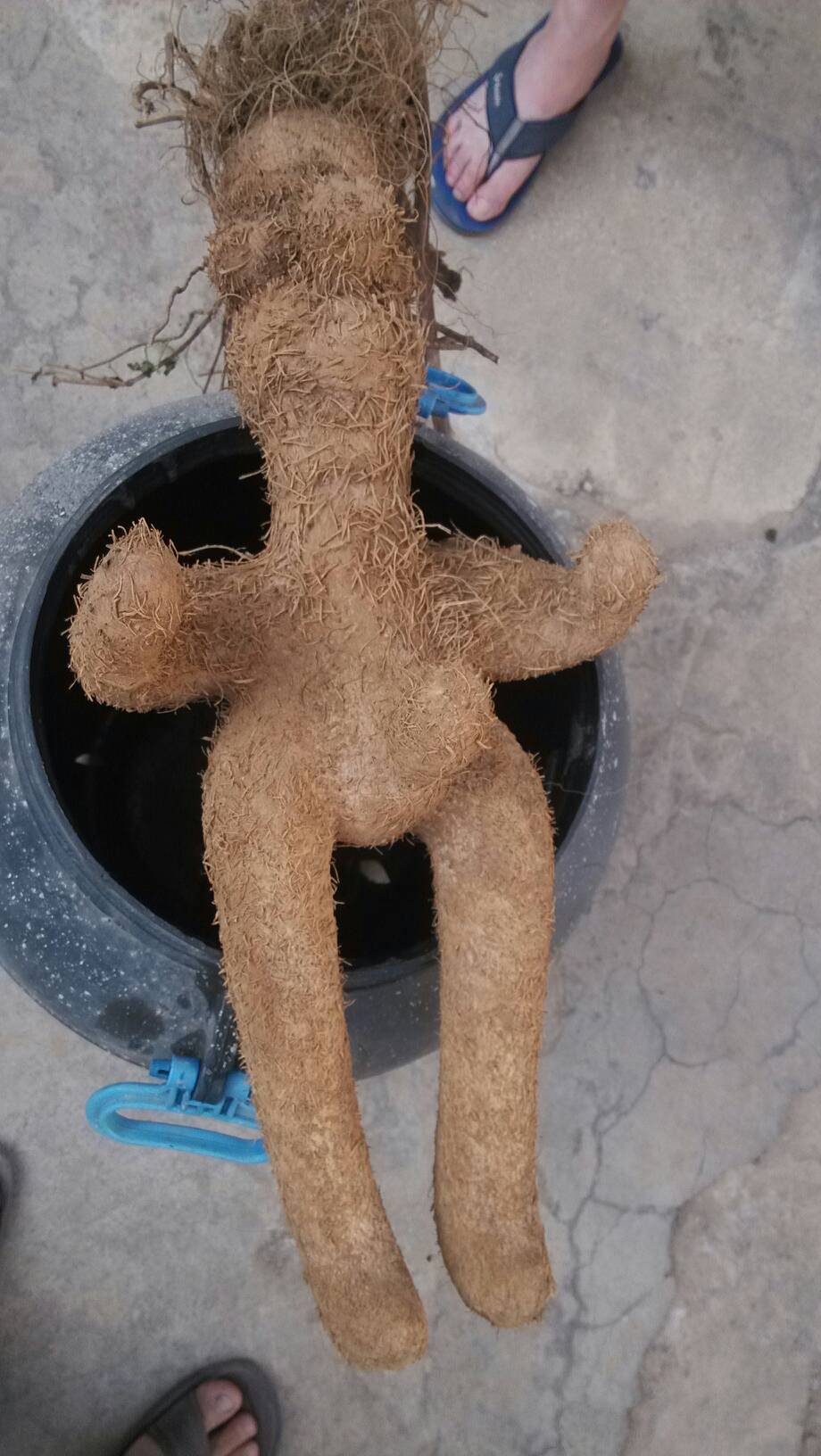 肾免欰?揮賖?(肾脏萎是不是不能用了)